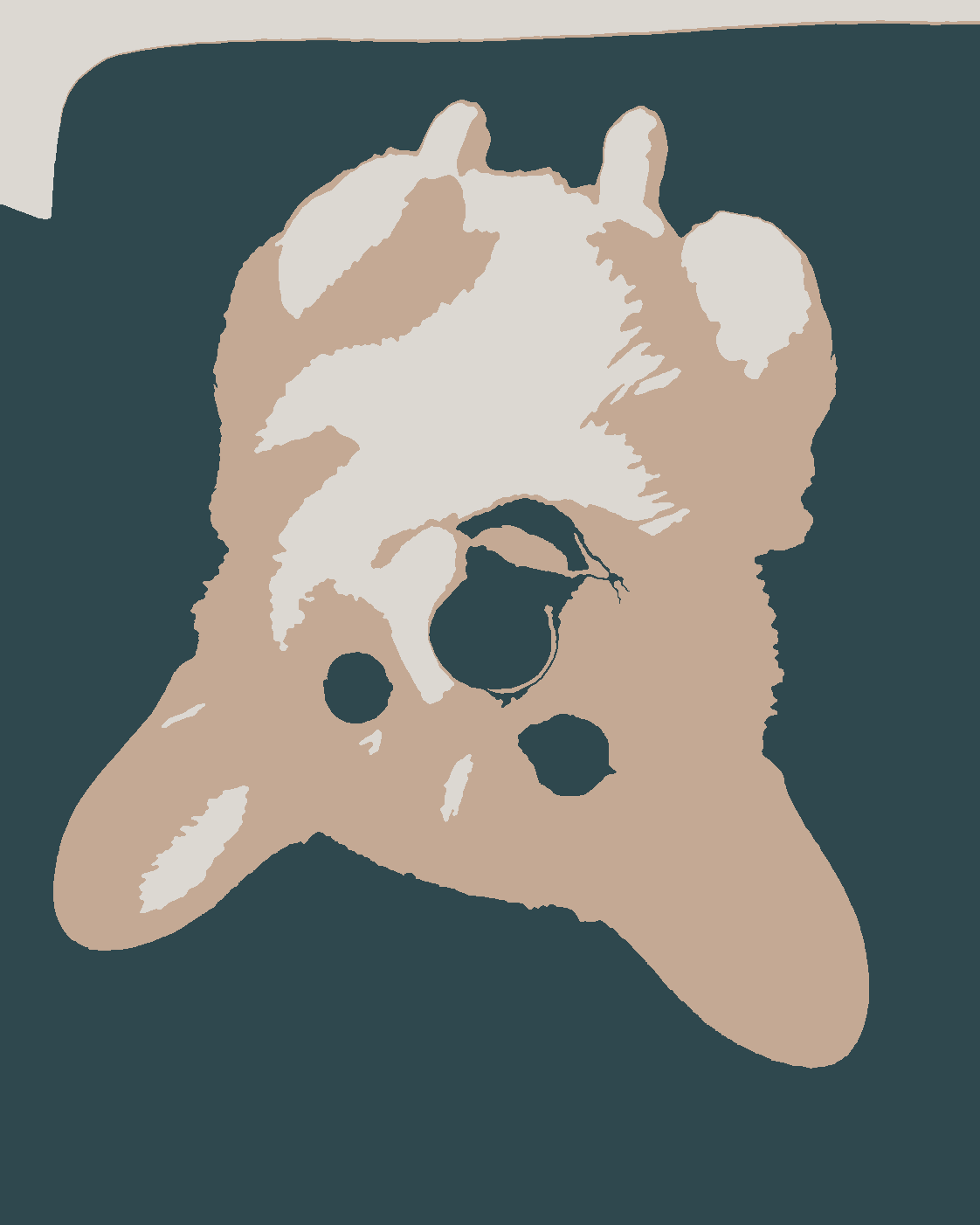 Corgi painting study, step 1